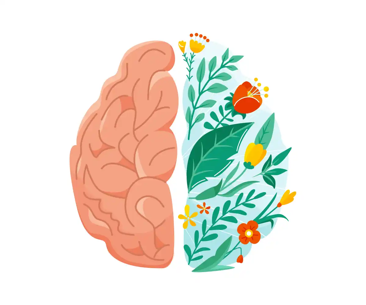 Illustration of a brain split down the middle, one half anatomical and the other half made of leaves and flowers.