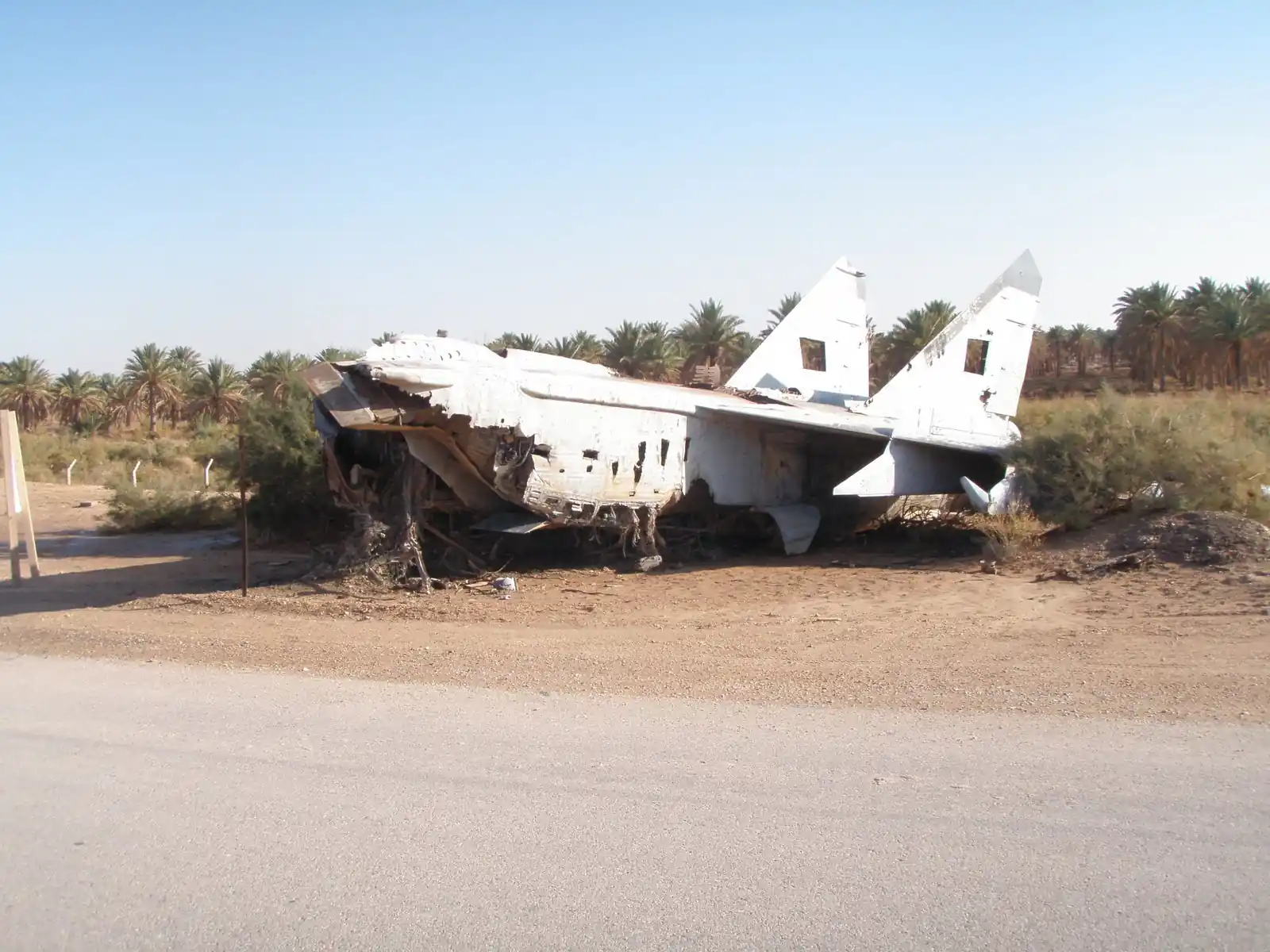 A wrecked Soviet-era fighter jet abandoned beside a road near palm trees at Al Asad.